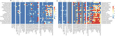 Emergence of Mobile Antibiotic Resistance Genes in Wastewater Environments: Evidence and Implications – A Review