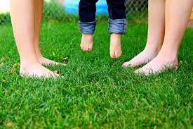 Image result for earthing