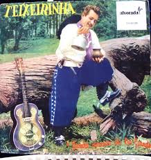 Resultado de imagem para teixeirinha