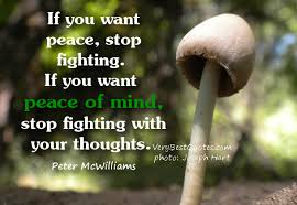 Inner Peace Quotes and sayings, Peace Of Mind Quotes ... via Relatably.com