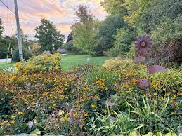 Halton Hills News - News update