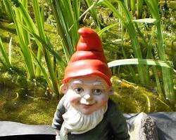 Garden gnomes