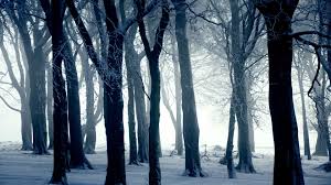 Foto bij ||6.4|| Arena; Claire