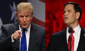 Image result for rubio trump