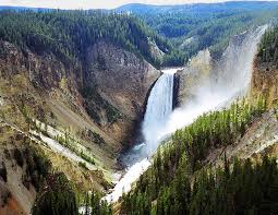 Resultado de imagen de parque de yellowstone