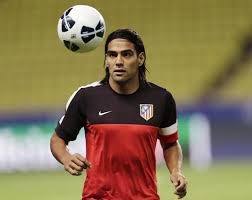 Image result for radamel falcao