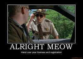 Super Troopers! One of the best movies everrrrrr | Yes ... via Relatably.com