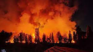 Se Incendia Pasto en Zona de Cuemanco de la Alcaldía Xochimilco, en CDMX