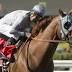 California Chrome Breeders' Cup Sweepstakes announced