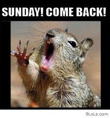 Funnie Funny Sunday Quotes. QuotesGram via Relatably.com