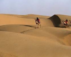Image of Thar Desert with sand dunes, sparse vegetation, and a lone camel