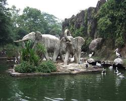 Gambar Kebun Binatang Ragunan Jakarta