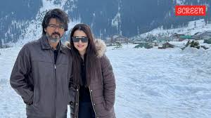 The Unending Spotlight: Decoding the Thalapathy Vijay and Trisha Krishnan Saga