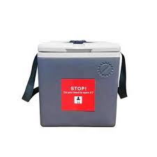 Small Vaccine Carrier 1.5L/1.7L with 4 Ice Packs - Insulated ...