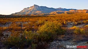 Image result for texas mountains