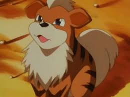 Resultado de imagem para Growlithe
