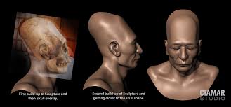 Résultat de recherche d'images pour "elongated skulls"