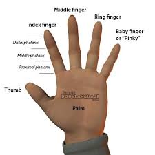 Image result for using finger for learn grammar