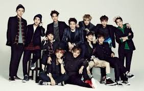 Hasil gambar untuk galeri exo