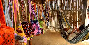 Image result for wayuu