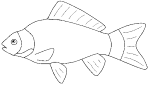 fish coloring pages ile ilgili görsel sonucu