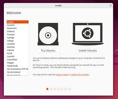 Image of Ubuntu installation process