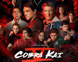Image of Cobra Kai Netflix Series