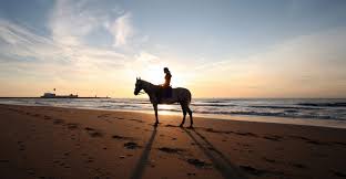 Résultat de recherche d'images pour 