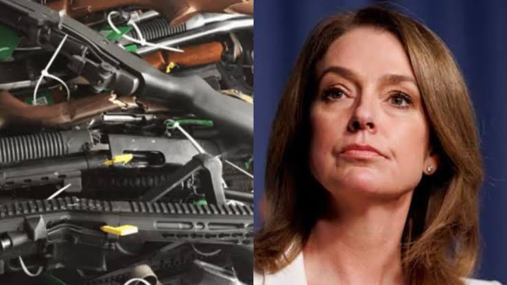 NSW Opposition Leader blasts Labor's gun buyback as 'absolute bulls**t' and a 'half-baked smokescreen'; says it won't stop another Bondi