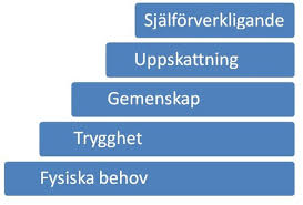 Bildresultat för behovstrappan maslow