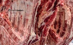 Carne bovina do Brasil para a UE em julho: maior valor em 20 anos