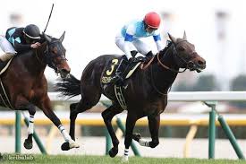 北九州記念2024：激走穴馬はコレだ！過去データ＆調教から徹底分析 - Imagen principal del artículo