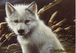 Image result for cool wolf art