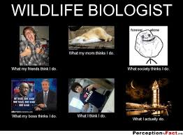 WILDLIFE BIOLOGIST... - What people think I do, what I really do ... via Relatably.com