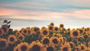 R&eacute;sultat de recherche d'images pour "spring tumblr"