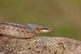 News source: 自由健康網