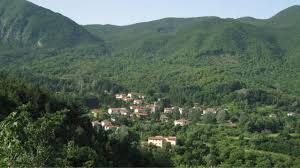 Il Tirreno - News update