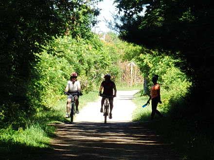 Window Repairs  Brantford
