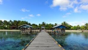 Hasil gambar untuk pecinta alam indonesia