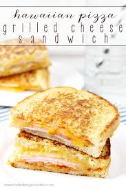 Image result for cheese pizza sandwich