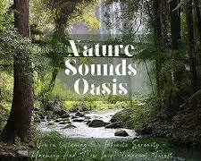 Image of Sound Oasis Harmony