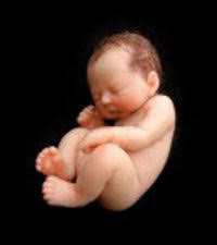 Résultat de recherche d'images pour "marzipan baby"