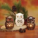 Owl candle holder