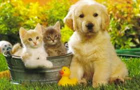 R&eacute;sultat de recherche d'images pour