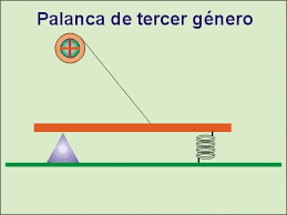 Resultado de imagen para palancas de segundo grado