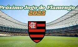 proximo jogo flamengo