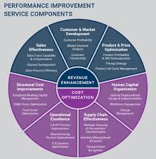 Image result for How to Establish a Performance Improvement Plan  images