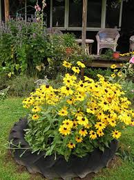 Image result for flowers on tires