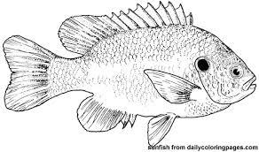 fish coloring pages ile ilgili görsel sonucu