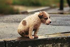 Equinac - Equinac added a new photo.